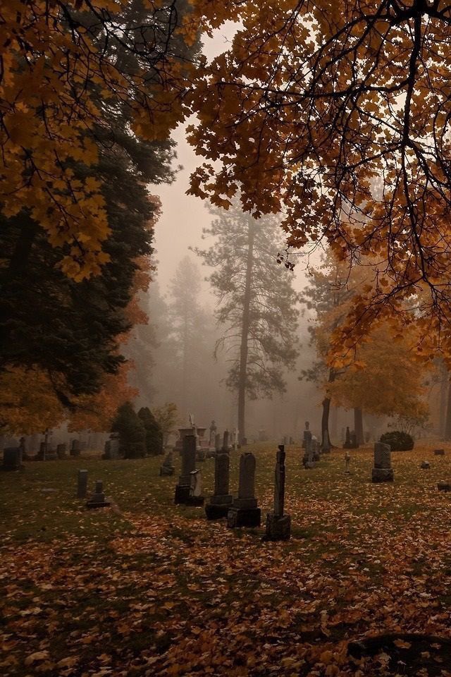aperfectpumpkin's tweet photo. don’t mind me just yearning for a stroll through this image https://t.co/St1igdq0Qn