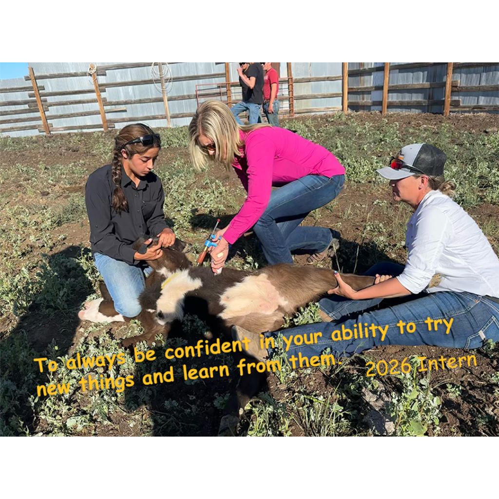 growingwyintrns's tweet photo. Quote | 2026 Intern
#bfrdpwy #aginternship #RightRisk
“To always be confident in your ability to try new things and learn from them …”
– 2026 GrowinG Intern https://t.co/JM4sacWZbV