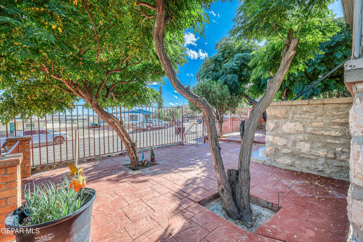 JRod7912's tweet photo. New Listing: 1805 ARIZONA AVE, El Paso — 5 beds, 2 baths, 2,665 sq ft with original hardwood floors. $2,200. Schedule a showing. #NewListing
https://t.co/6ZMHvN8Pjx https://t.co/q9LL6nxG4z