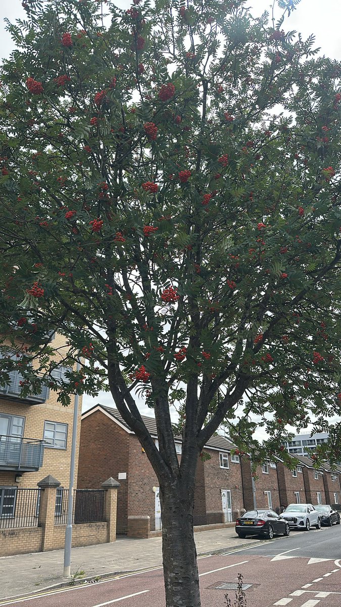 MFX966's tweet photo. #manchester https://t.co/eEVyNn29YO