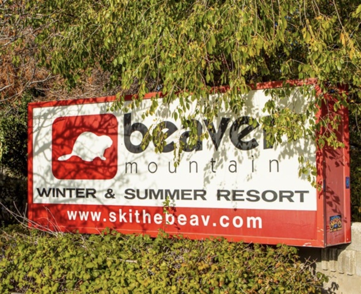 skithebeav's tweet photo. BEAVY NEWS: Our Logan City Offices and Ski Shop OPEN for the winter season on next Thursday, October 15th, with the hours of 9am-5:30pm. 

Please Note: Season Rental info will be released soon.

1351 East 700 North
Logan, UT 84321
(435) 753-0921

#skithebeav #loganoffice https://t.co/QzsUGQrU85