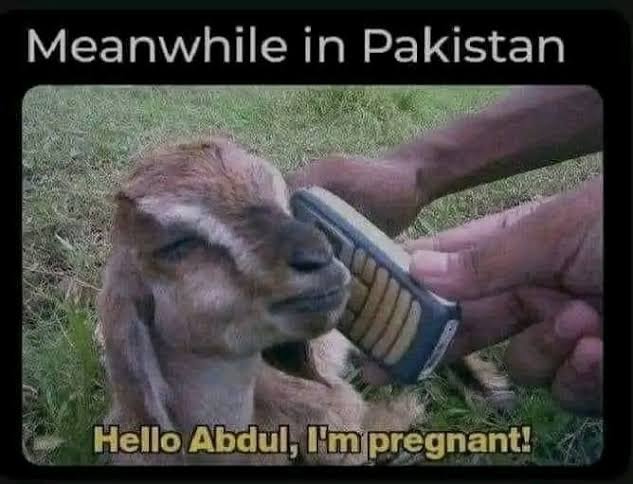 randomando1109's tweet photo. @Slafzilla20 @Azazel042022 @khamenei_ir @grok Inbred shitskin deflecting after getting proven wrong. https://t.co/BzvcyccP4V