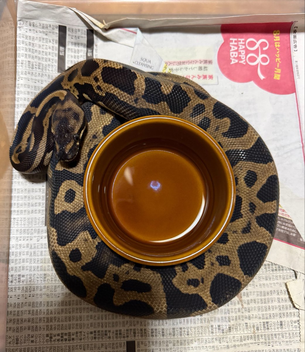 sunameri618 tweet picture