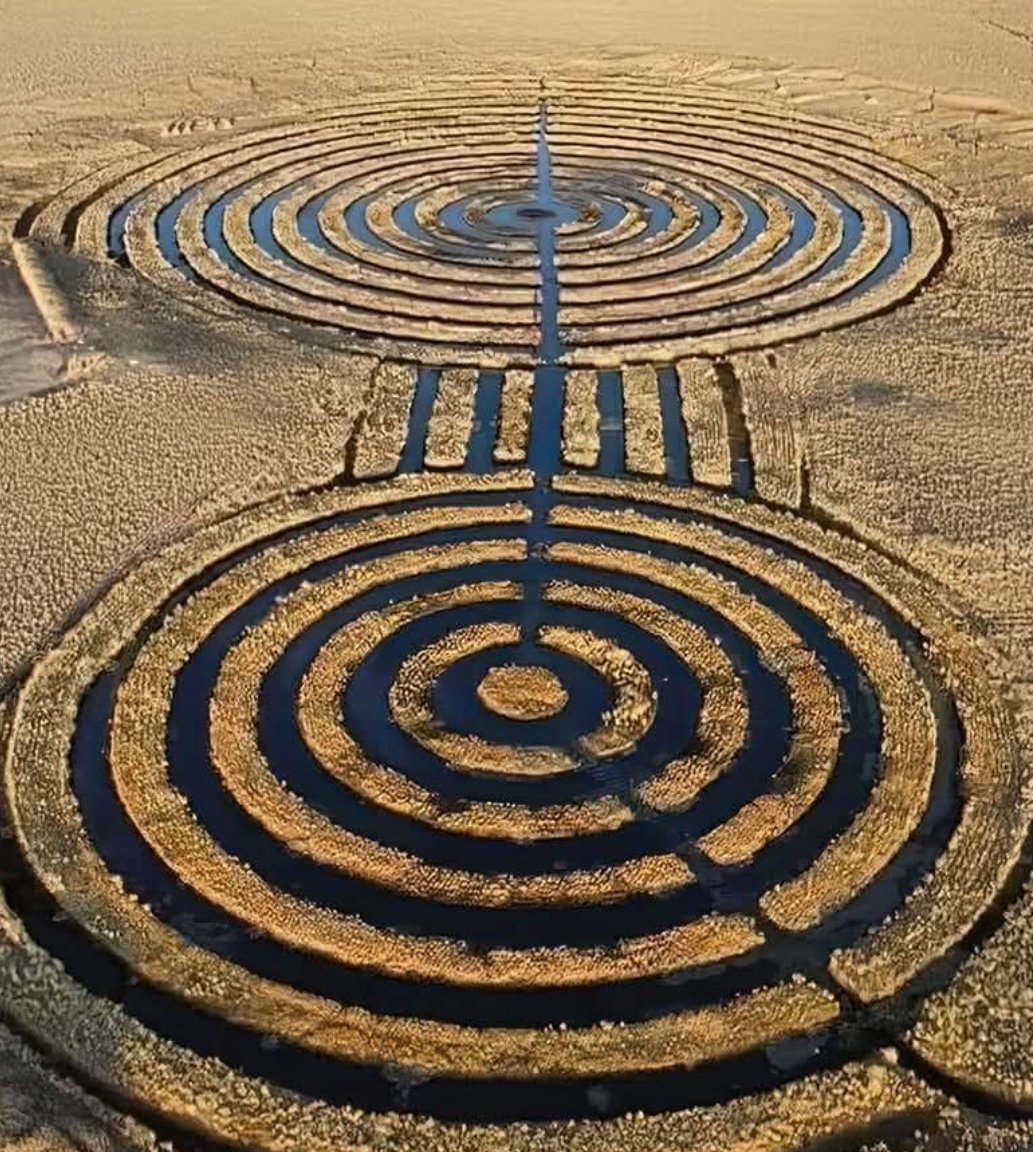Shu1T's tweet photo. ペルー　WaruWaru
古代遺跡
これ発電施設かなんかの回路じゃないか？
（公式には耕作地） https://t.co/T8BtuHpaFI