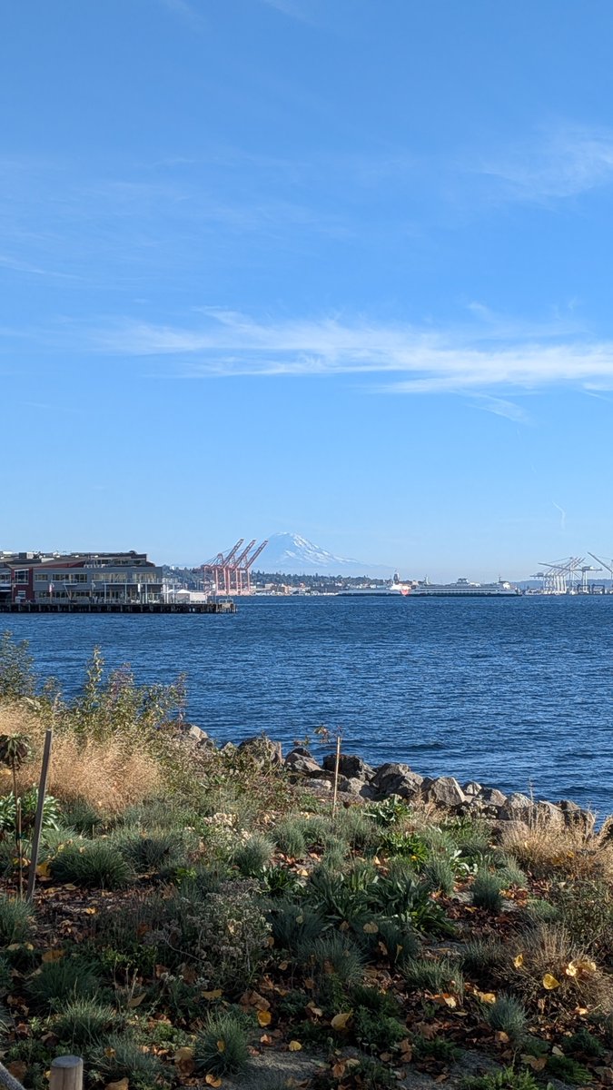 jatin_batra1's tweet photo. A traditional October 6 in Seattle. 

Sunny and the mountain is out https://t.co/LCTPZ8oItG