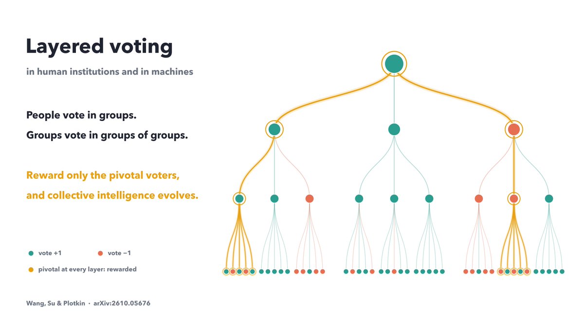 jplotkin's tweet photo. An evolutionary origin of collective decision making in humans and machines.  New paper, with Guocheng Wang and Qi Su:

https://t.co/qcN0BDOurv

Human institutions and machine-learning algorithms  both decide by layered, non-linear voting. Engineers train networks with back-propagation. Institutions have no engineer.

We find that rewarding individuals only when their vote is pivotal, at every layer, lets collective intelligence evolve by peer imitation alone. That reward scheme plays the role of back-propagation in ML.

This result gives a naturalistic, evolutionary account of decision making, by human institutions and machines alike.