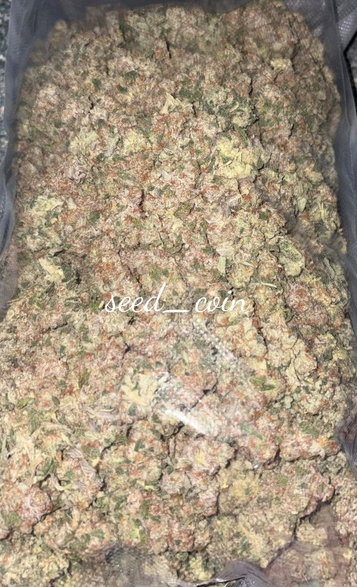 lisaaaa_athome's tweet photo. RT:全国郵送📮🏴‍☠⭐

White widow🇯🇵

1/¥3000 5/¥2500 10/¥2000
20/¥1800 30/¥1500 50/¥1250
100/Ask〜

だいぶお安いかと🫨
お求めお待ちしております💁 https://t.co/GQB8s2yLSZ