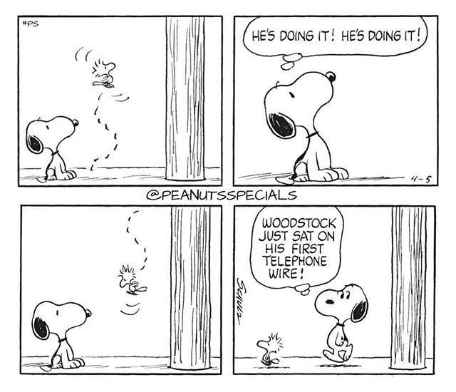 snoopy_world1's tweet photo. https://t.co/fLJVb3amJP