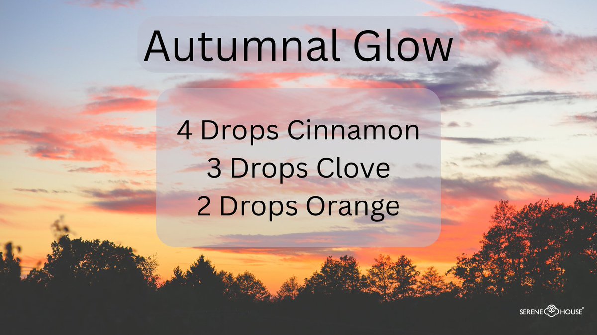 SereneHouseUSA's tweet photo. Let yourself enjoy the beauty of an autumnal sunrise.

Autumnal Glow

4 Drops Cinnamon
3 Drops Clove
2 Drops Orange

#serenehouseusa
#serenehouse
#essentialoils
#essentialoilblends
#fallscents
#Autumn
#autumnalglow
#happyfallyall
#fallessentialoils
#cinnamon
#clove
#orange https://t.co/kfqcAjM6a8