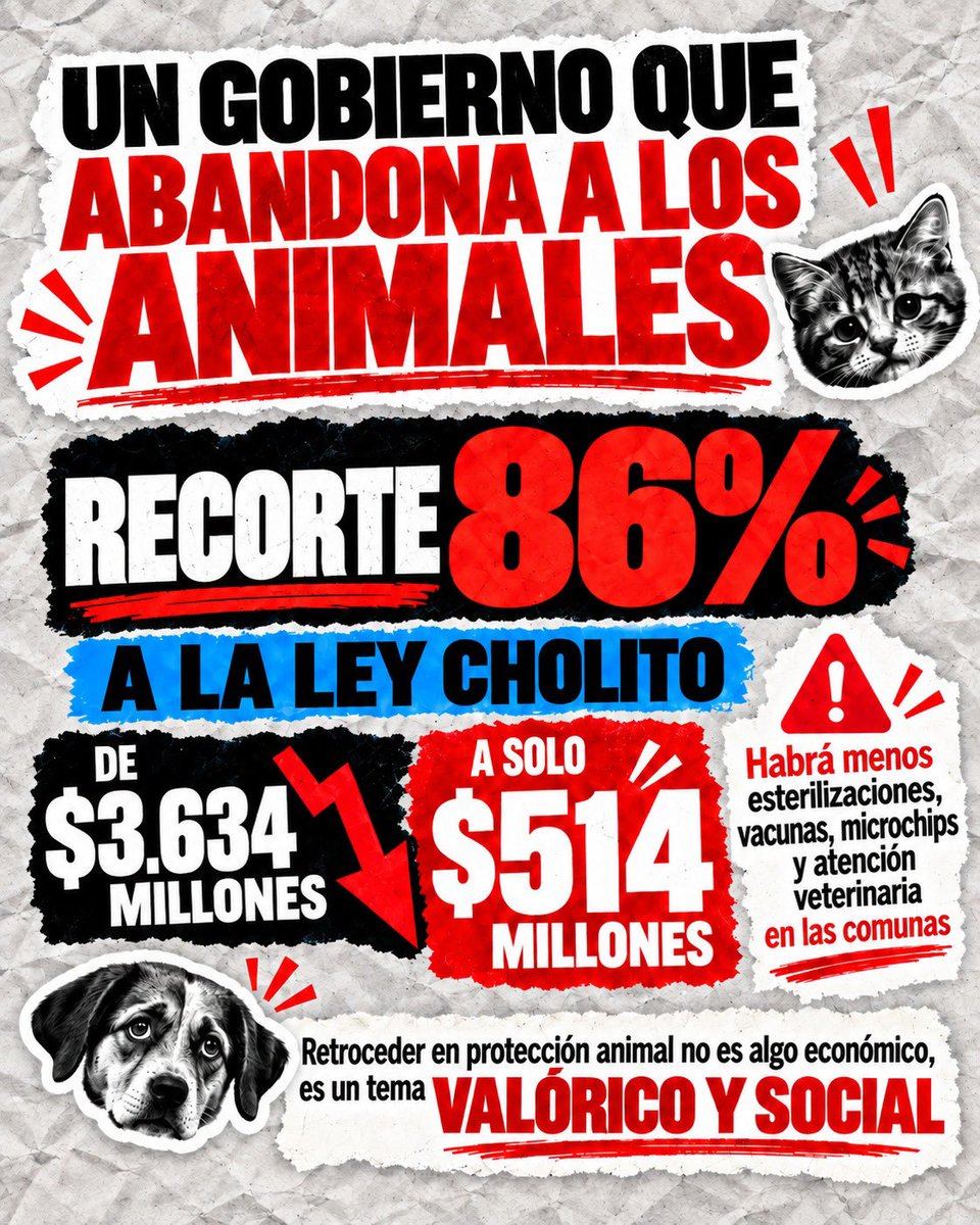 luisastudillop's tweet photo. ✂ Un nuevo recorte en el Presupuesto 2027 que duele a las familias chilenas. Una muestra total de desconexión y abandono preocupante por parte del Gobierno que nos hace retroceder en este y tantos avances sociales.

No son solo diferencias económicas: son valóricas y sociales 👆 https://t.co/oPO5cepjPp