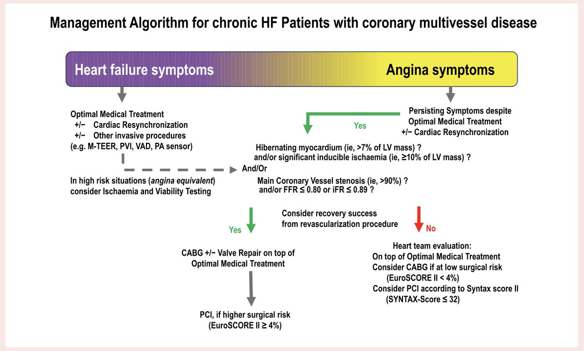 HFA_President's tweet photo. Revascularization of #CAD in #HeartFailure: who, when, & how?

This #EJHF Expert Consensus Statement proposes a practical, symptom-based approach:
📍Start with the symptoms: are they predominantly HF-related or angina-related? 📍Optimize GDMT first in all patients with HF, & also assess for eligibility for CRT +/- invasive procedures (eg M-TEER, VAD) 📍Persistent angina despite GDMT? Consider revascularization, with assessment of coronary anatomy, ischaemia & viability where appropriate. 📍CABG or PCI? Consider surgical risk & coronary complexity, with PCI an option in patients at higher surgical risk or with less complex coronary disease. 📍Heart Team discussion is key to individualized decision-making.

📖 Read the full paper: https://t.co/yztMlHRS1a

@EJHFEiC @escardio #HFA_ESC