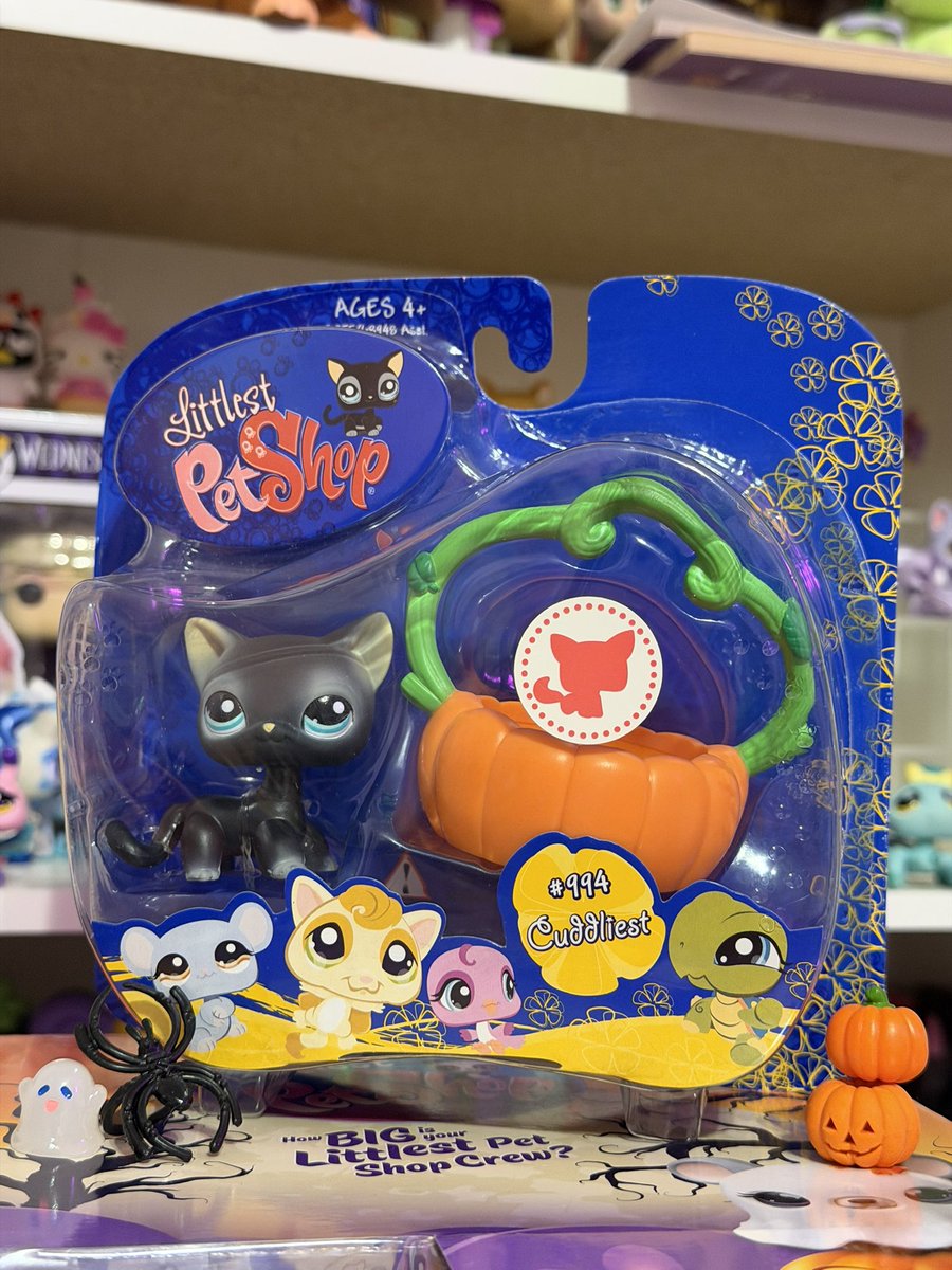 sarughhlps's tweet photo. SHES HERE AHHHHHH 😻🎃🎃🕷️ https://t.co/ODh7VmoSHW