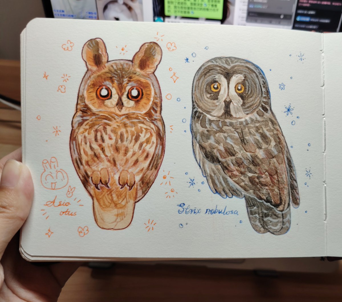 unknowncyc's tweet photo. 🦉！ https://t.co/MGydh4RLcM