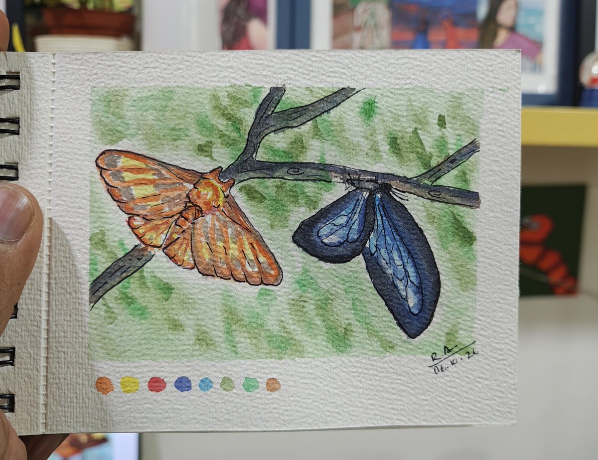 RishabhAaaanand's tweet photo. Day6: Insects. #Arctober2026

This wasn't difficult per say as I had already decided what I'd do. 
1. A 1min doodle of an ant made on insta to motivate everyone, to take it easy and chill. I admire ants and their nature. 
2. Oomf wanted me to try a moth. I added titli https://t.co/TN3HoE0LQz