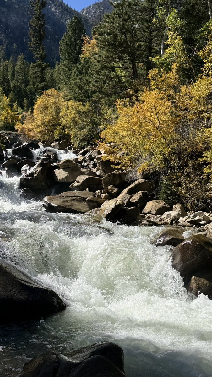 RLCGator4Life's tweet photo. @TedGrzelka Here’s a few rocks https://t.co/OQBO5KsO3s