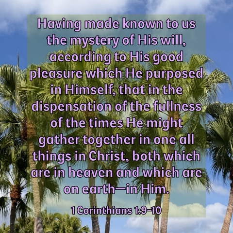 tweets_mb's tweet photo. #WillOfGod #InChrist #Heaven https://t.co/1E3p2uEQ8e