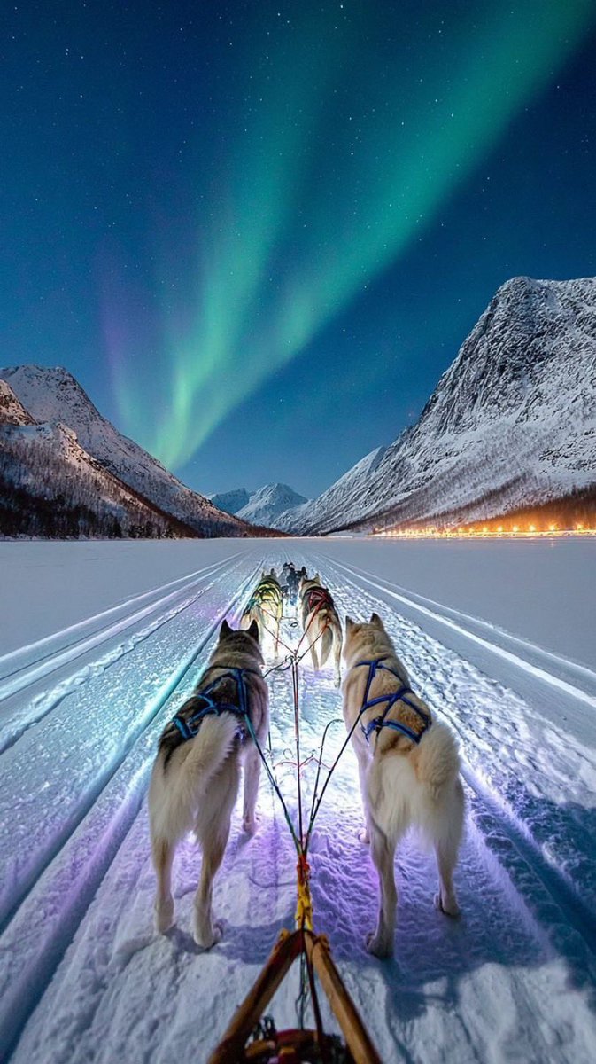 viewsoff's tweet photo. Norway 🇳🇴 https://t.co/5L3iIDSgE1