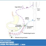 Photo by AJP-Gastrointestinal and Liver Physiology (@ajpgi)