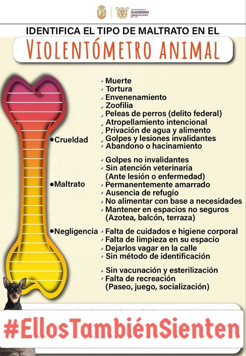 VecinosCDMX___'s tweet photo. Un animal herido después de un accidente de tránsito necesita atención, no indiferencia. Contar con un protocolo para reportar, rescatar, trasladar y atender estos casos podría hacer una diferencia. #EllosTambiénSienten https://t.co/7wd6jiPngU