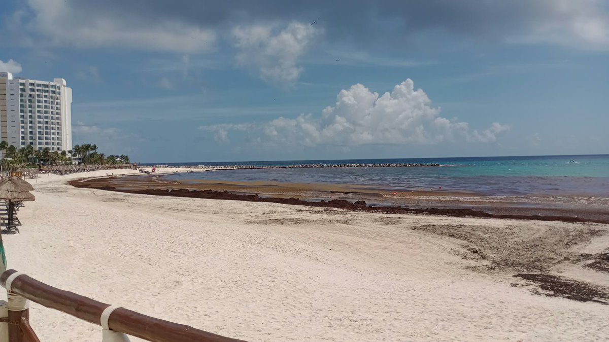HostalVitelli's tweet photo. #Playa #Forum #Cancun #zonahotelera https://t.co/o1ajKbnb0b