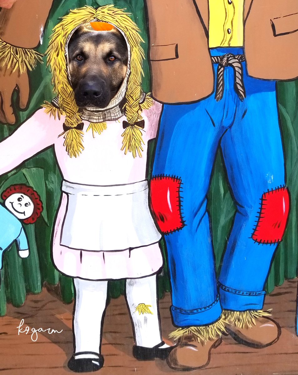 K9Garm tweet picture