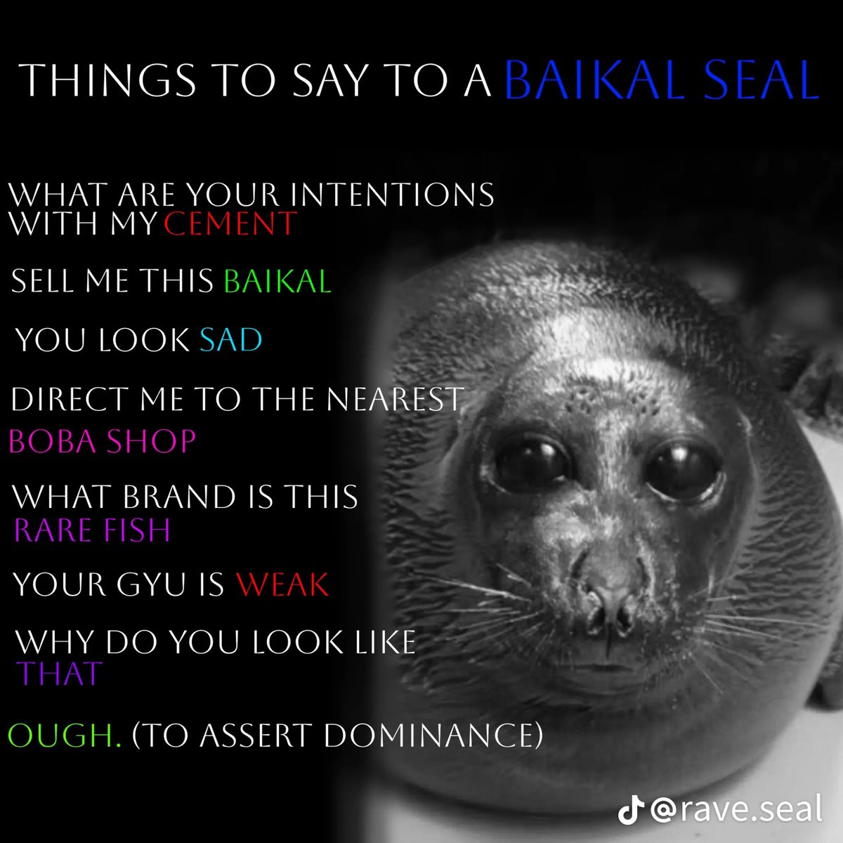 selkiegyuu's tweet photo. Sent to me by @FoxySealVT 
🦭🩵✨ https://t.co/CFkAeTjYyB