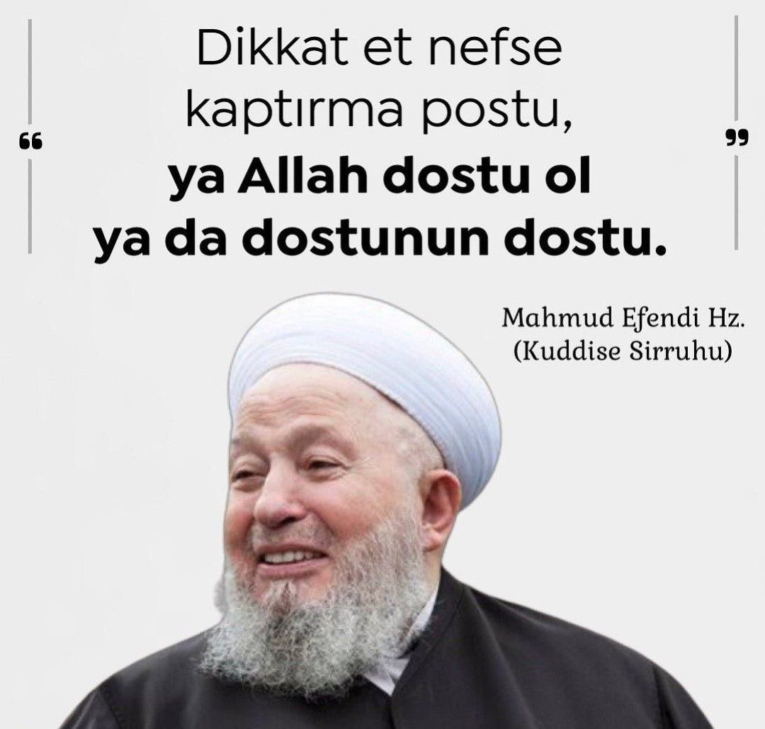 VeRdakeMatlubi's tweet photo. 🌹 https://t.co/VX2dwbQ2KH