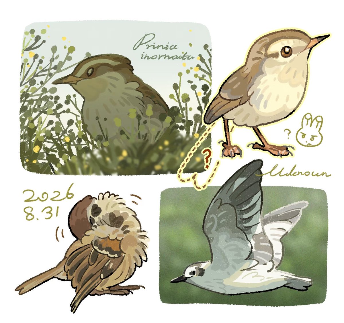unknowncyc's tweet photo. Bird watching records https://t.co/7l1XlcgTBQ