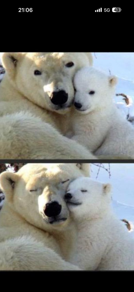 arnoklarsfeld's tweet photo. amour d’une mère, amour que nul n’oublie…. https://t.co/Tentt9iwfF