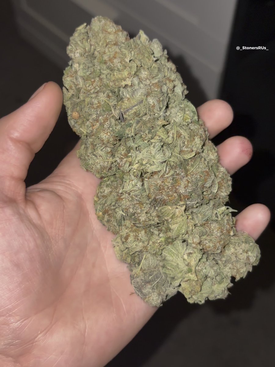 A close-up photo of a large cannabis bud held in a person's hand, with the watermark '@_StonersRUs_' visible in the upper right corner.