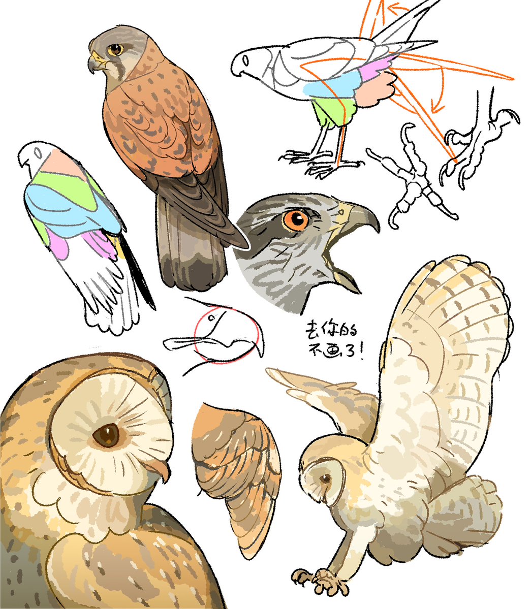 unknowncyc's tweet photo. I learn to paint raptors. https://t.co/C11uFKJClo