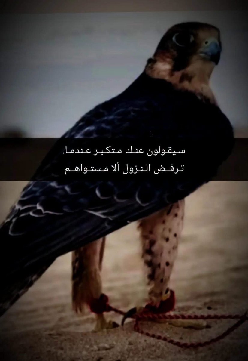Johnnycachjqug's tweet photo. @asaad14021980 https://t.co/LpFRTxPAO5