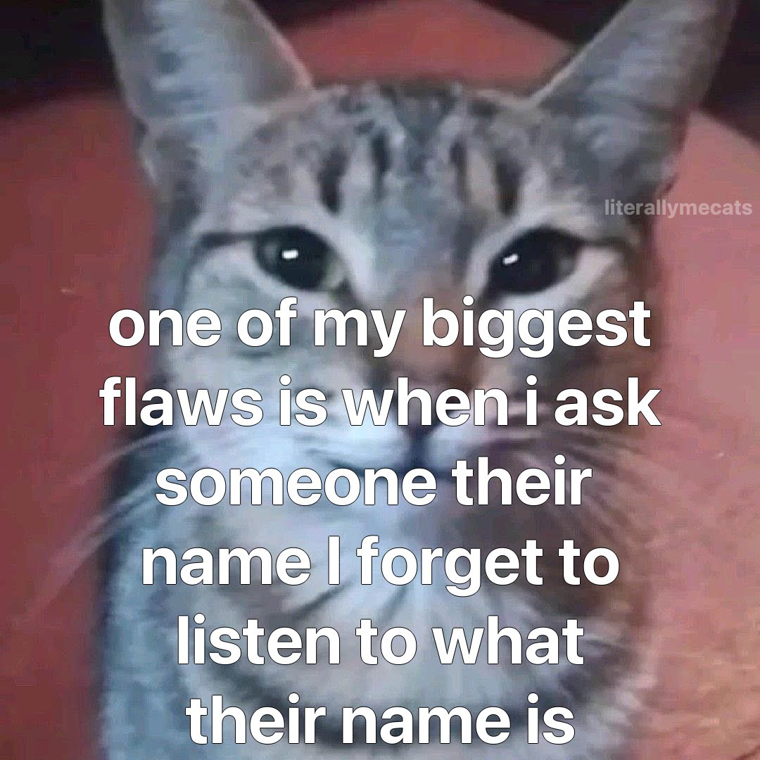 literallymecats's tweet photo. https://t.co/YVNAbTG7ea