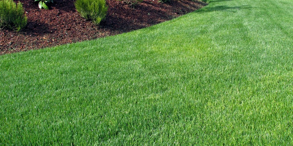 FreeSprayOH's tweet photo. Healthy soil, healthy lawn! 💚

Lime treatments are vital for your turf, balancing soil pH to achieve favorable conditions for healthy grass growth. ⚖️ Think your lawn could benefit from lime? Call (419) 495-6567 to schedule!

https://t.co/xvUfNxMl0W https://t.co/Rw59DJwq7c
