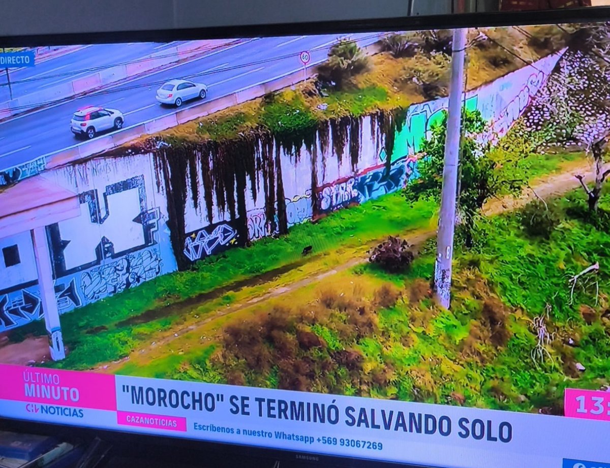 javieracalavera's tweet photo. Como se siente vivir en este país gobernado por un idiota. https://t.co/P53JQeuSu1