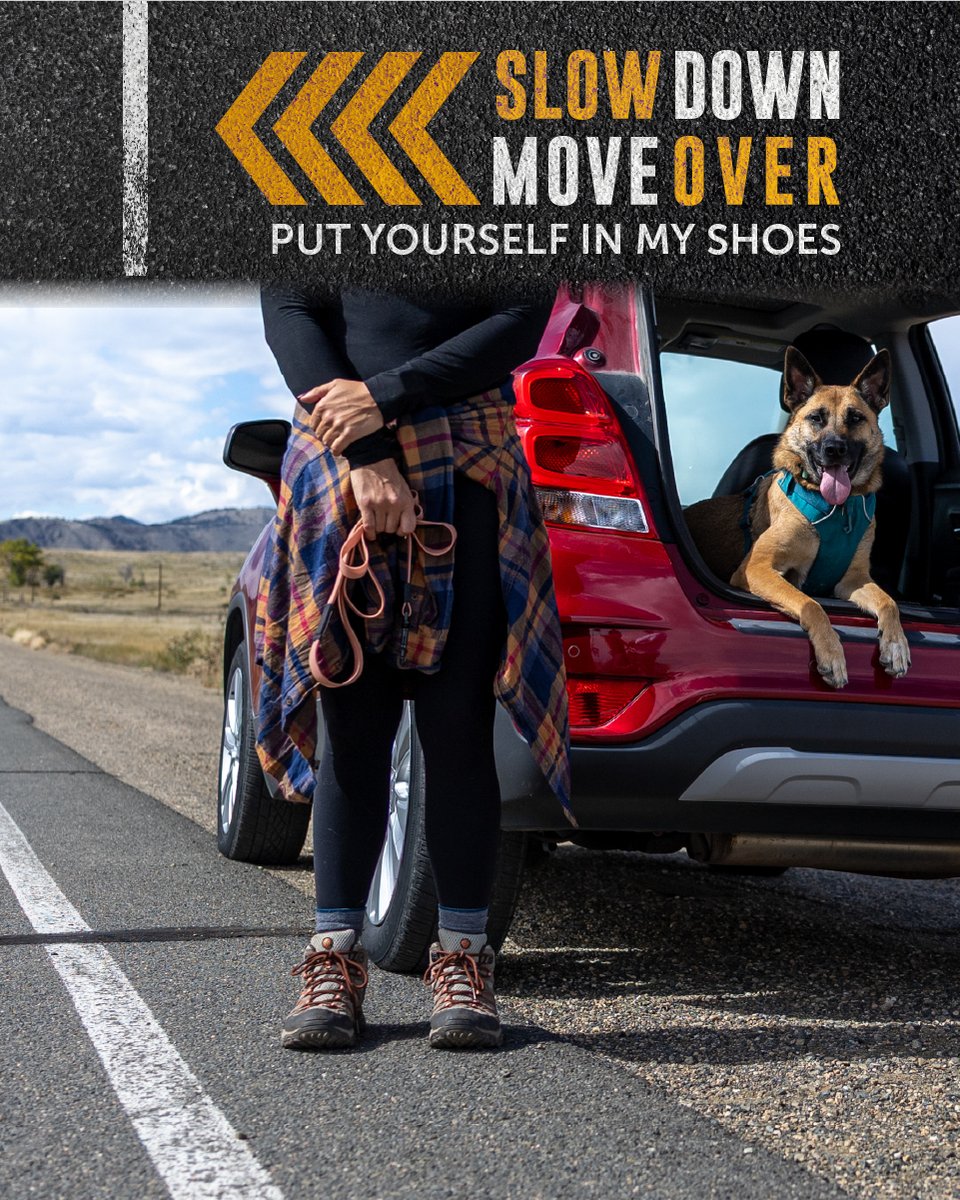 CSP_News's tweet photo. Pets can be unpredictable, just like traffic, but my furry family member needs a bathroom break. Please give me space to keep her safe. https://t.co/5O4E5cWHFY
