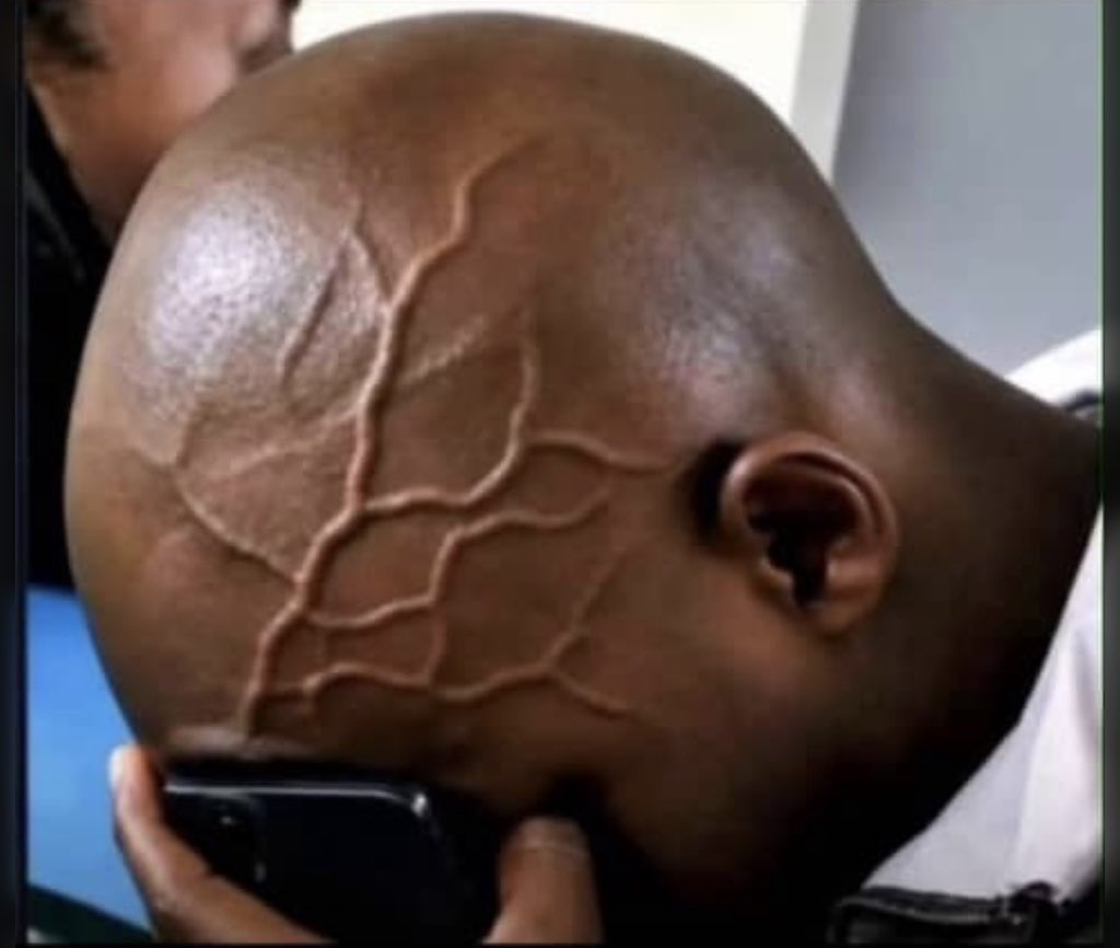 Rabbiicon's tweet photo. E hard ooo🤧 https://t.co/2SRr1fYPxd
