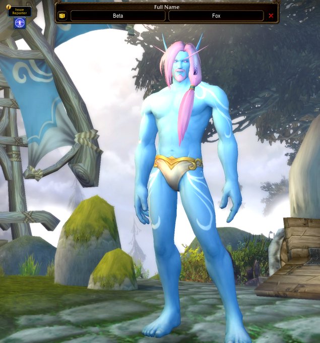 The image shows a World of Warcraft Night Elf character creation screen with the name "Beta Fox" entered in the Full Name field (displayed as "Beta" and "Fox" in separate boxes). The character's name "Beta Fox" appears to be a reference to "Beta" as in a placeholder or alternative name, since the player's desired name was already taken—essentially making their WoW character a "Beta Fox" instead.