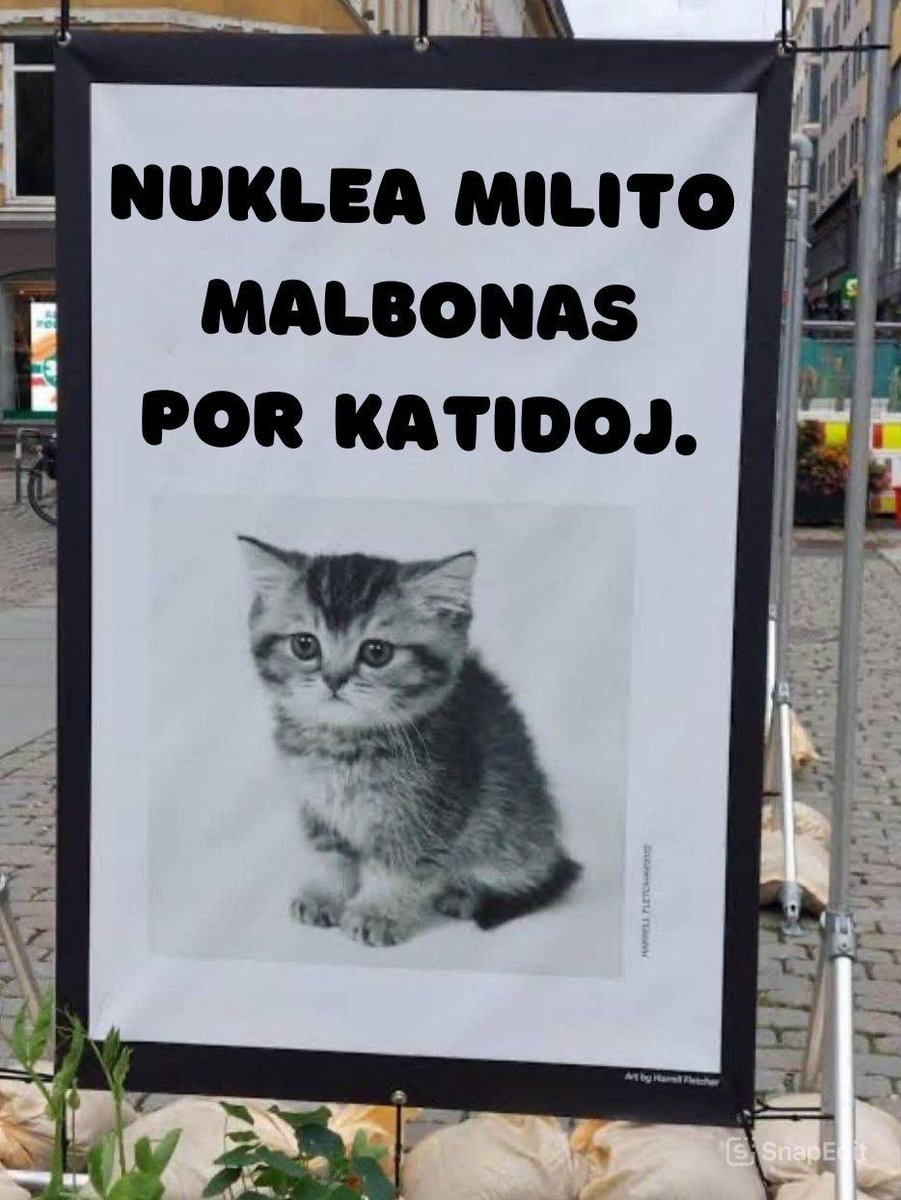 EMemeoj's tweet photo. Nuklea milito. Ŝtelita for de la telegrama malmemeulo https://t.co/A4U5jwdFYB