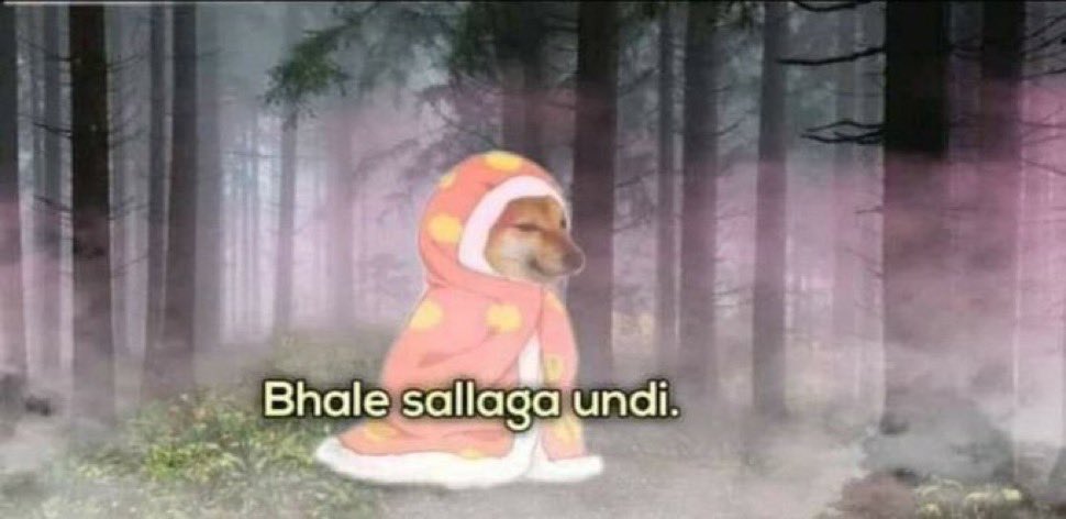 Georgie_cooper7's tweet photo. Comment section lo aa mingudendhi ra😂😭 https://t.co/sGQkfwzz7u