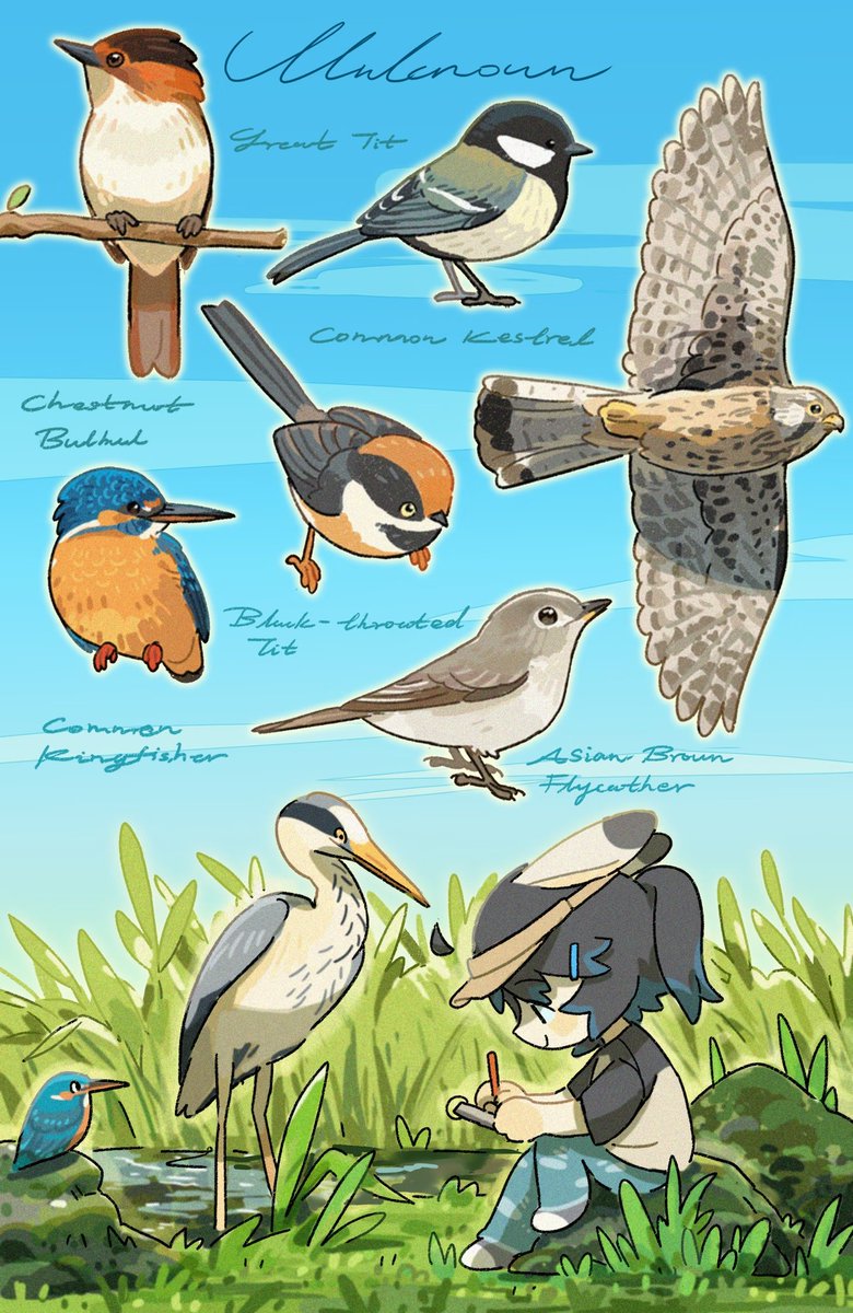 unknowncyc's tweet photo. Bird watching records from six months ago https://t.co/qIQHTpAZgs