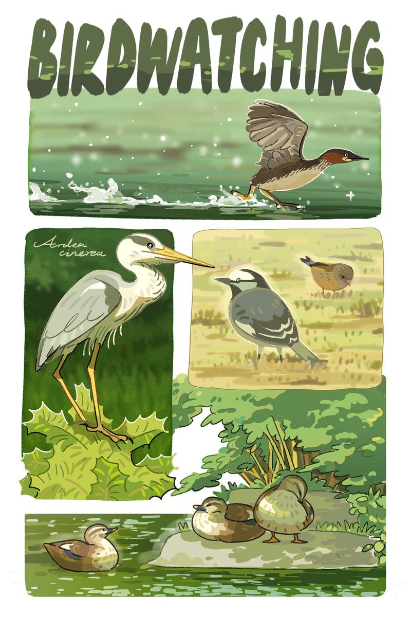 unknowncyc's tweet photo. Bird watching records from six months ago https://t.co/qIQHTpAZgs