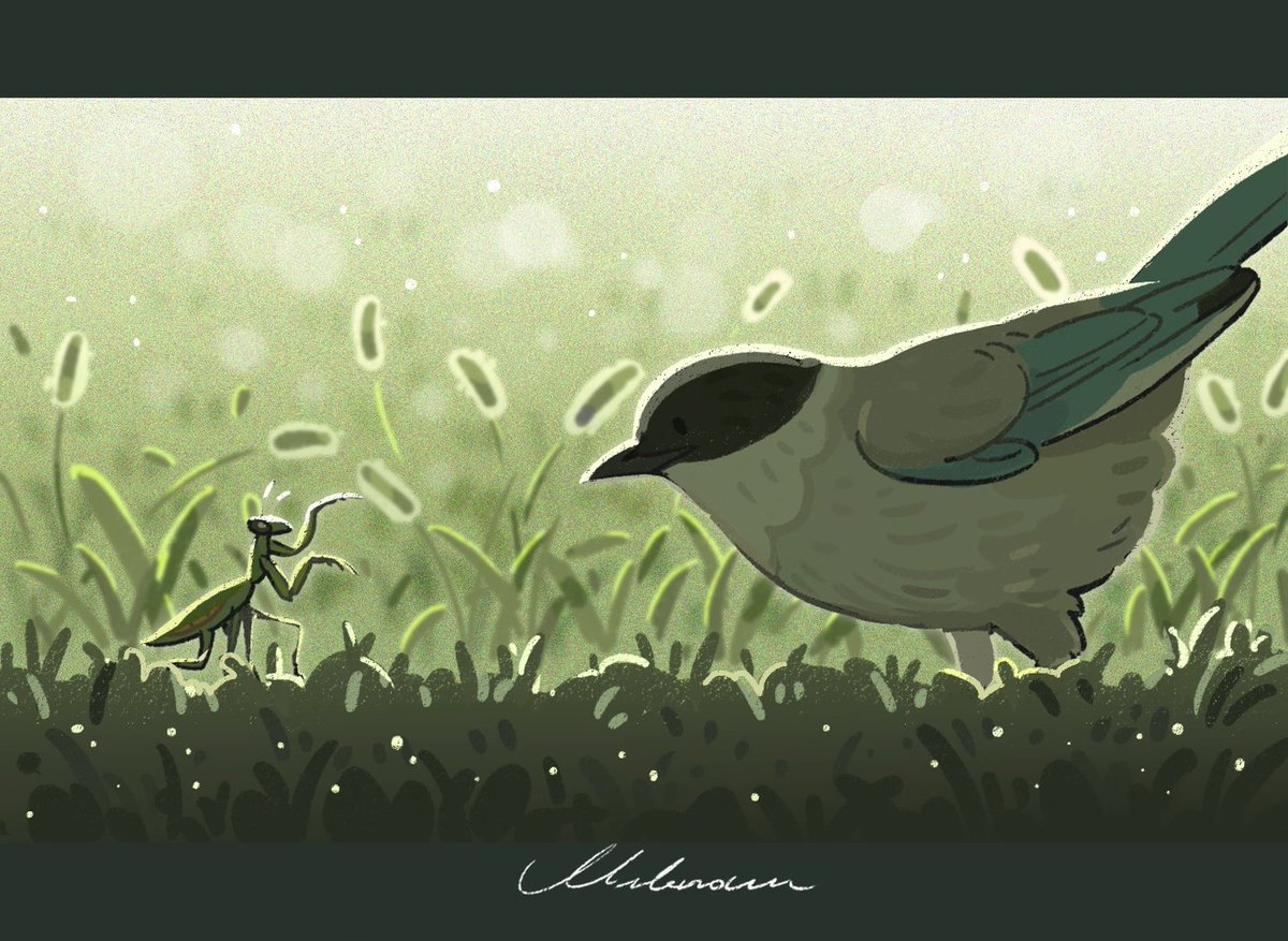 unknowncyc's tweet photo. predation https://t.co/5hDgerCOjH