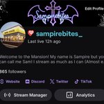Photo by Salmonatha (@Sampirebites_)