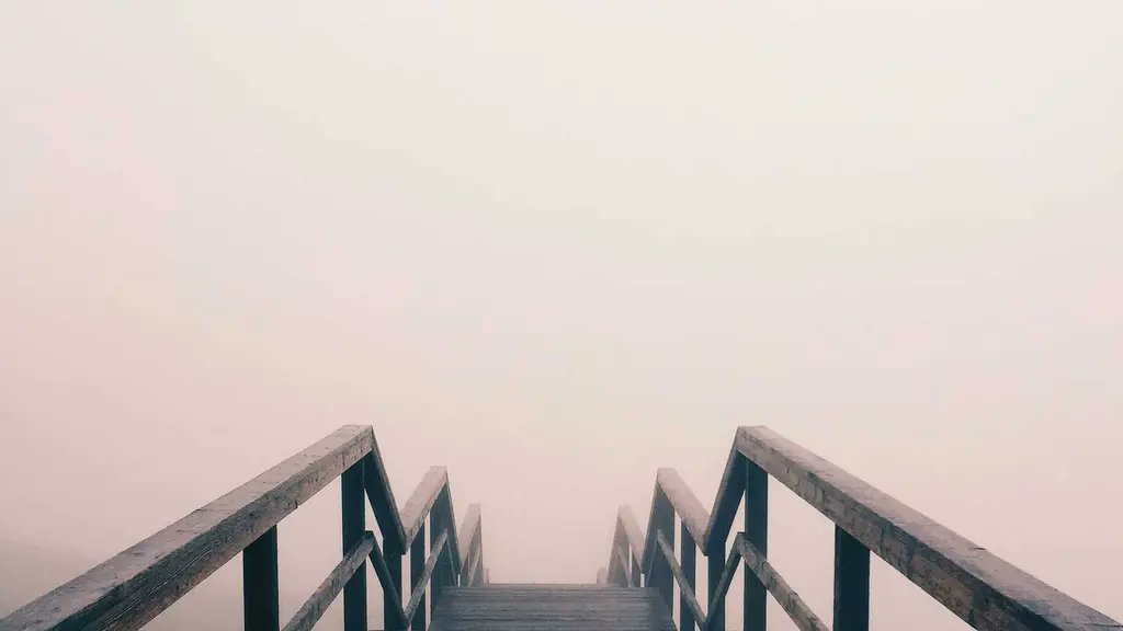 ConnorLand9's tweet photo. Watching water-lilies dream.🤩😓 https://t.co/8XW6jmppAi