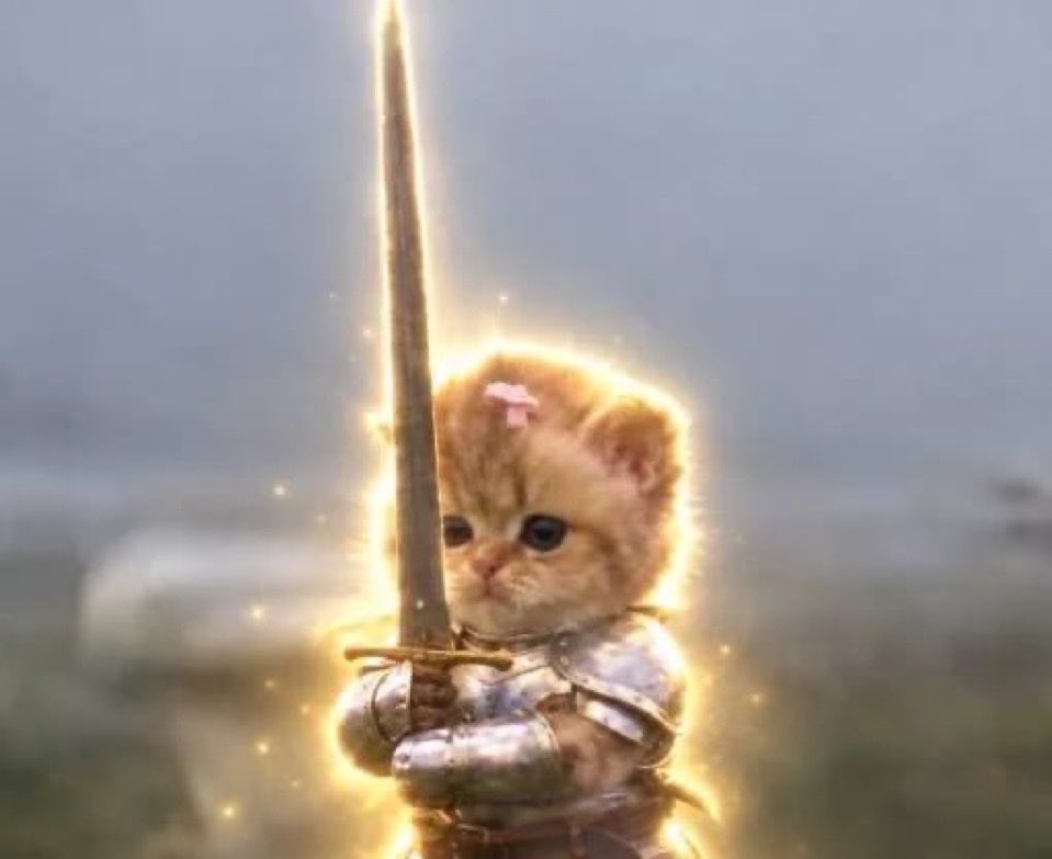 mikadontlouz's tweet photo. scrolling the timeline it is clear that cat wif sword has won the final battle against all the other cats...

the coin is war proof and has survived incredible swings and has been holding strong for 2 days now after a gruesome well fought battle..

i didnt want to declare it before as it felt unlady like to declare something so painfully obvious and i did not want to slash my opponents anymore than we already had to after forcing our hand...

no human could stop it. many tried. but you cannot outbid destiny.

the blade chose the cat. the war is over. long live solana:5tCju6YNxHq5zrA6tGndr6F7TK42mpUFmeE31cSFpump