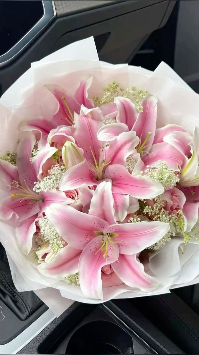 Flowersidmb's tweet photo. https://t.co/h5Tsms9gNz