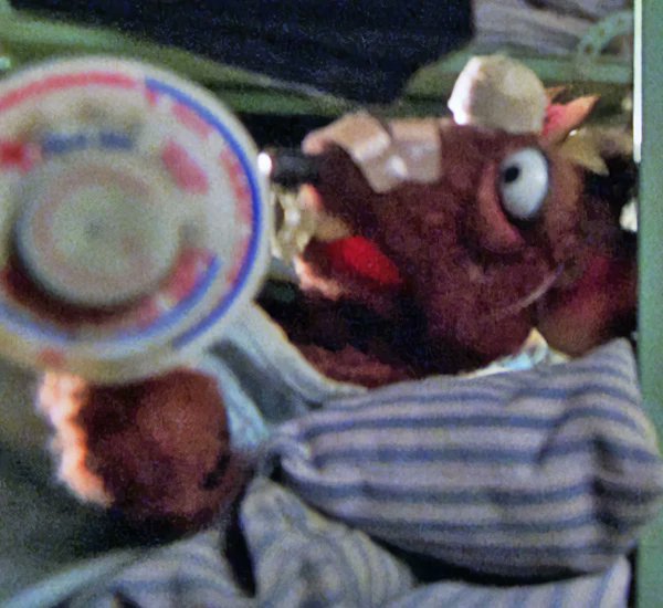 DailyMuppet tweet picture