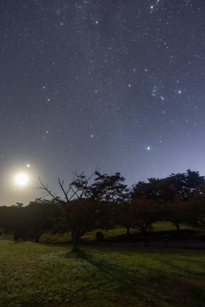 man_ten_bo_shi's tweet photo. 今夜の能登の星空です。
夜中遅くに晴れてきて、美しい星空が見えていました。
写真左下の明るい天体は月です。実際は細い月ですが、写真では満月のように写っています。
月のすぐ右上の明るい星は木星です。
今週末は晴れの地域が多そうです。ぜひのんびりと星空を眺めてみましょう。 https://t.co/9Gxrz1Rwpx
