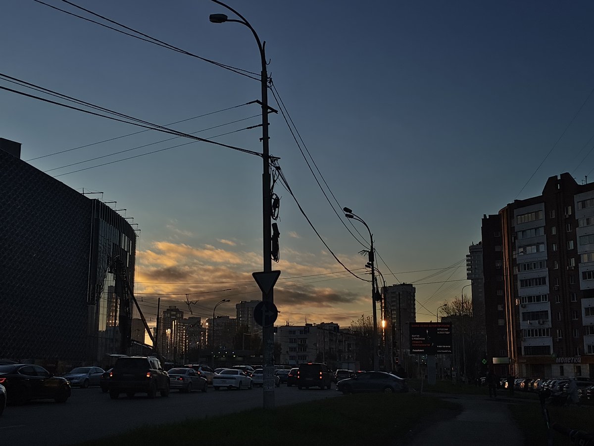 venegrett's tweet photo. белка летяга метро ботаничекая https://t.co/yW1Quqr5zJ